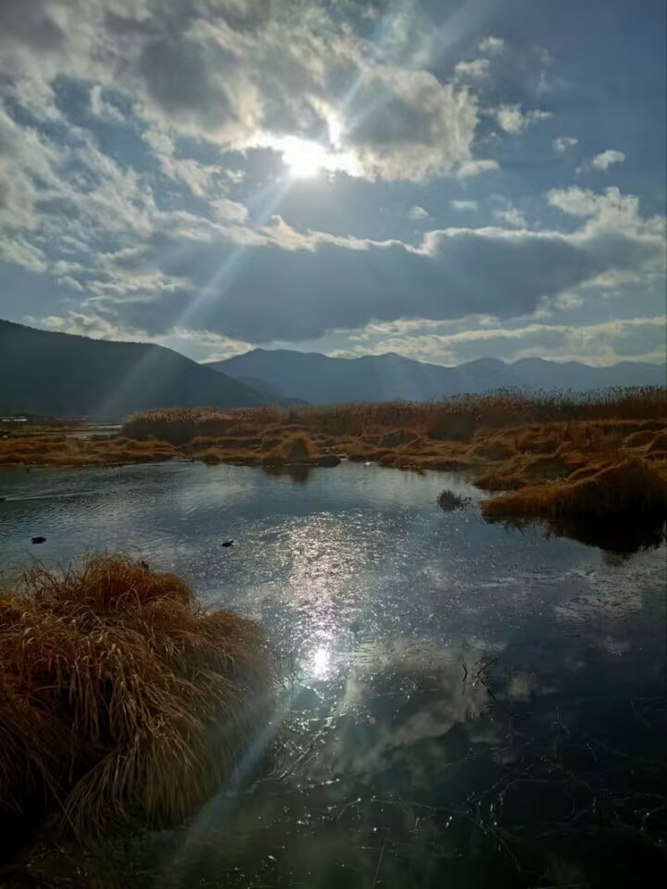 风之旅人竖屏壁纸图片