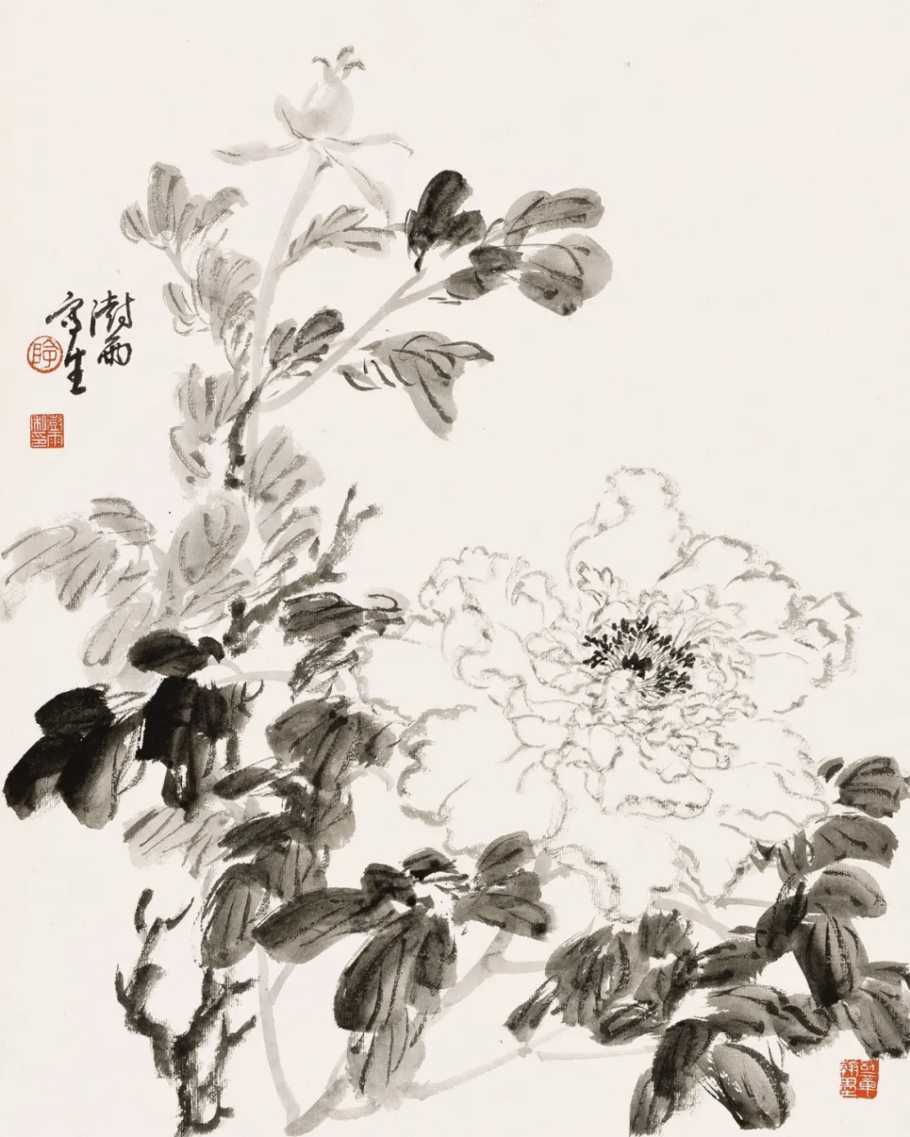 澍雨日历丨4月19日 · 花语 记得来时春未暮,执手攀花,袖染花梢露.