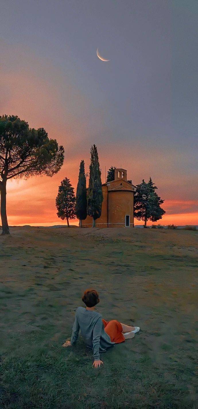 壁纸分享‖橘子汽水