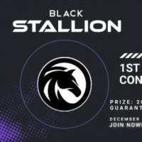 BlackStallion-BS