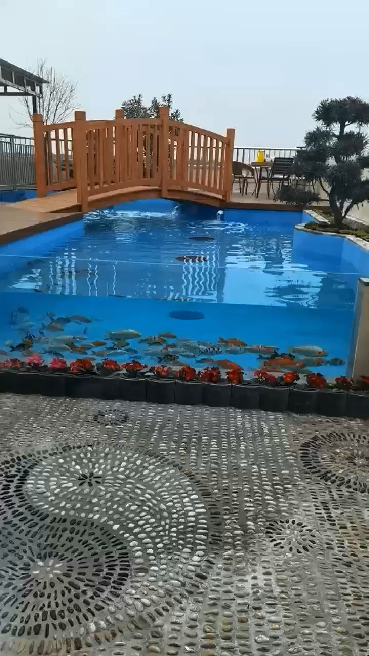 屋顶花园鱼池#锦鲤#别墅花园设计施工#屋顶花园