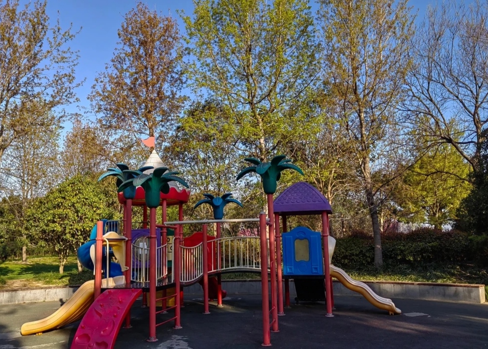 上海闵行陈行公园令人醉