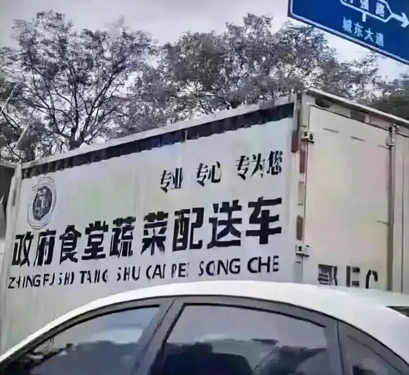 这是某地政府食堂蔬菜配送车的照片,车厢上印有绿色食品的标志,还有"