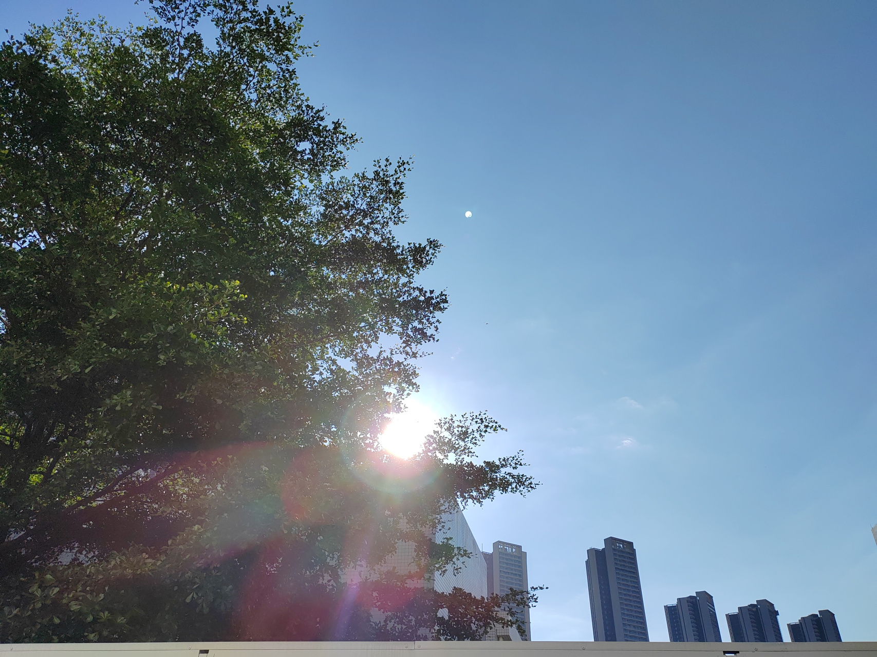语文# #语文作文大全#  描写夏天早晨的优美句子 1.