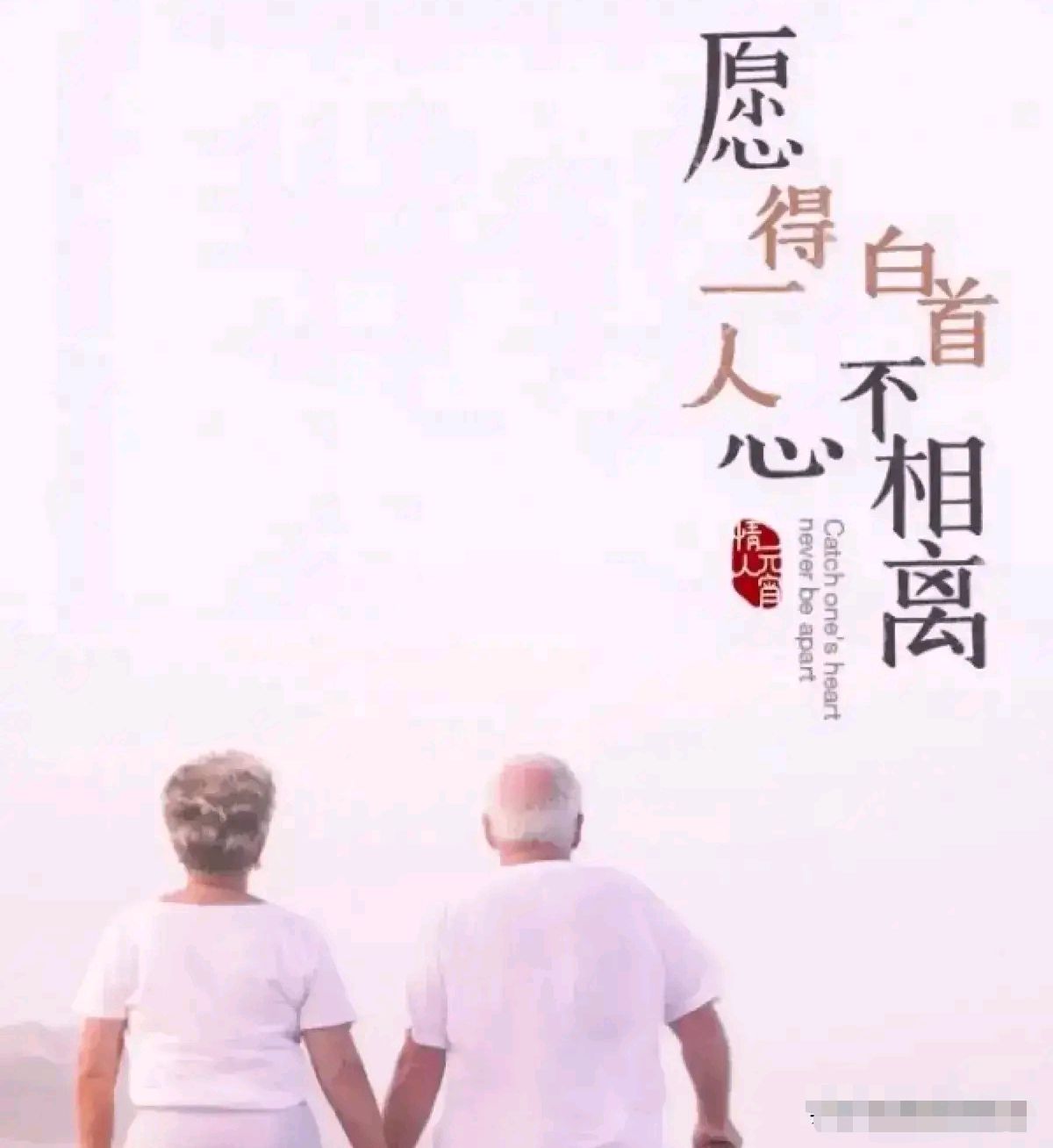 请相信爱情,珍惜眼前人,趁你年轻的时候