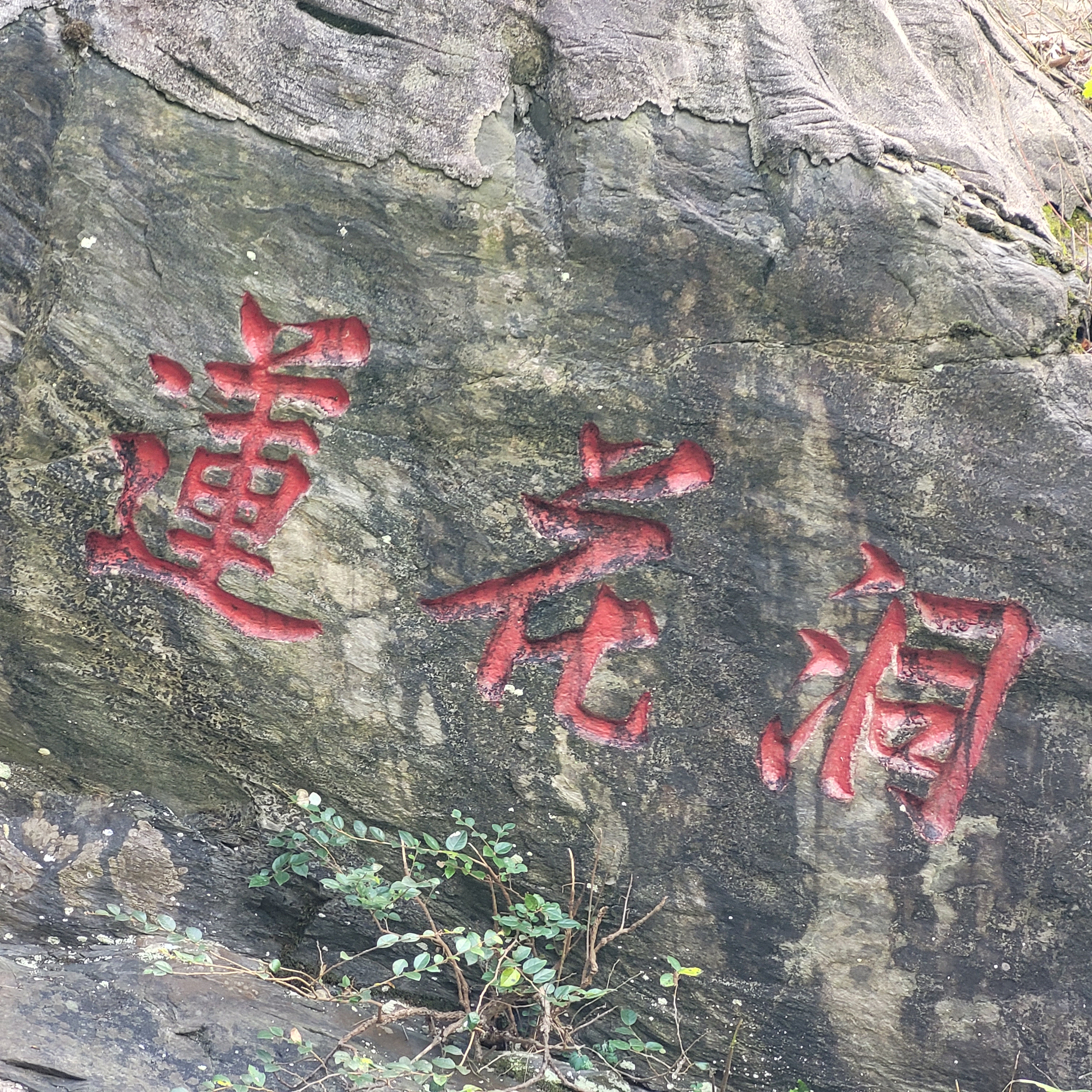 九江市莲花洞森林公园点滴记录