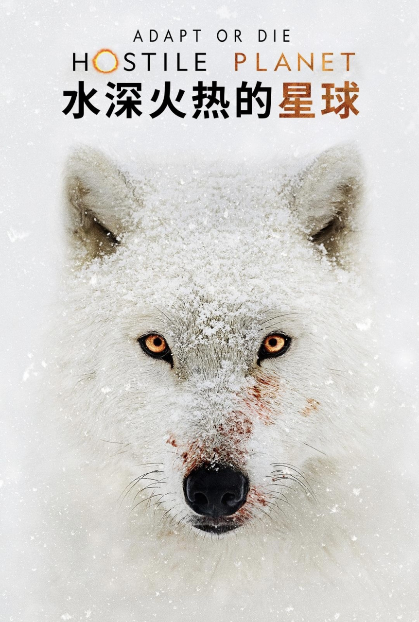 纪录片《水深火热的星球》 最近一两年喜欢上看记录片,是探索我们生活