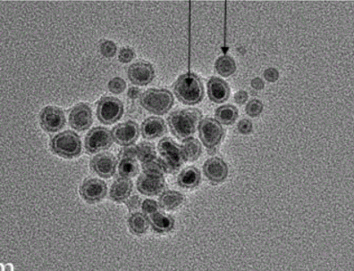 超顺磁性fept纳米颗粒|feptnanoparticles|核磁造影,生物载药治疗