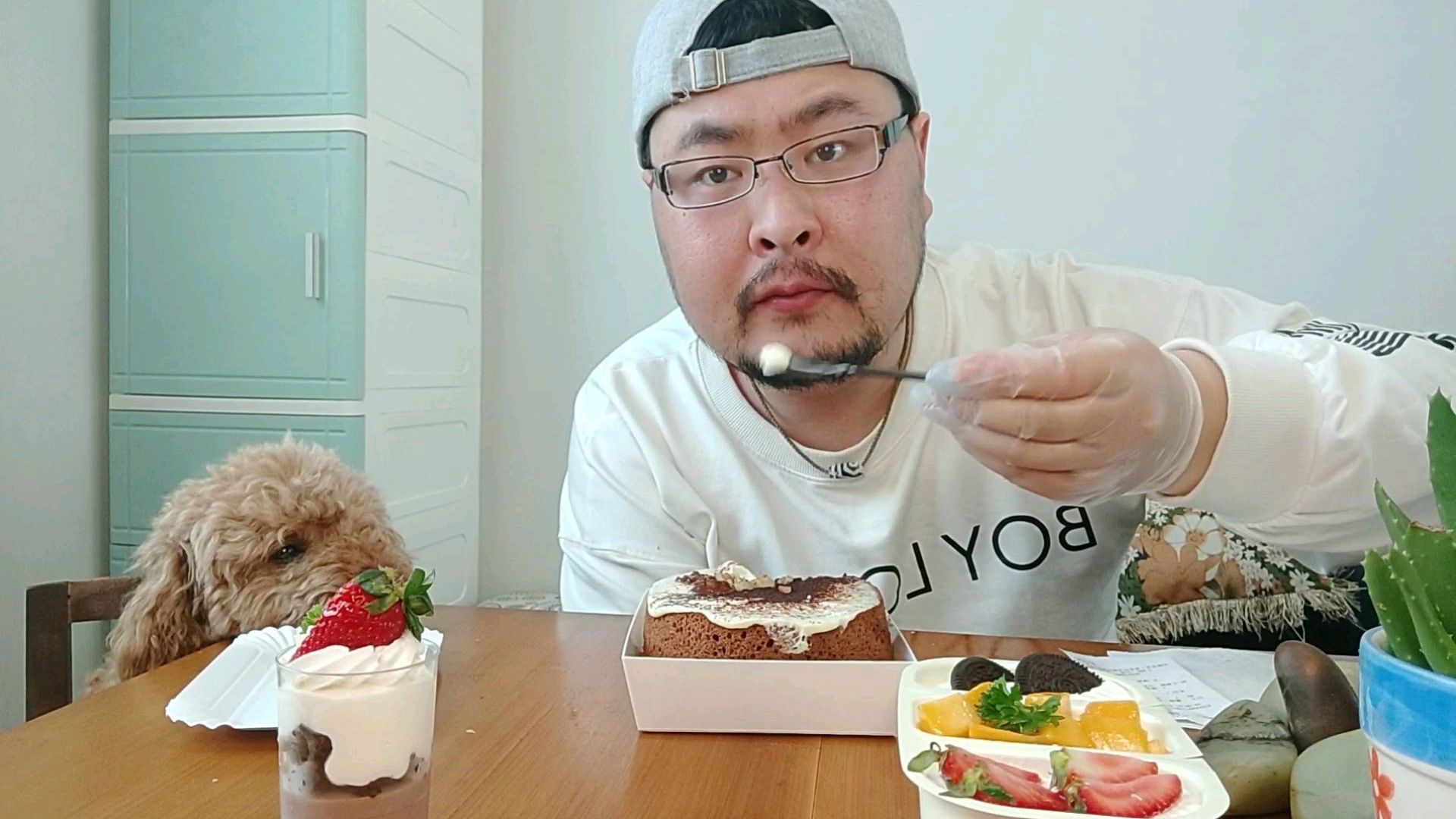 虎哥爱吃的奶油蛋糕,为什么只能看不能吃