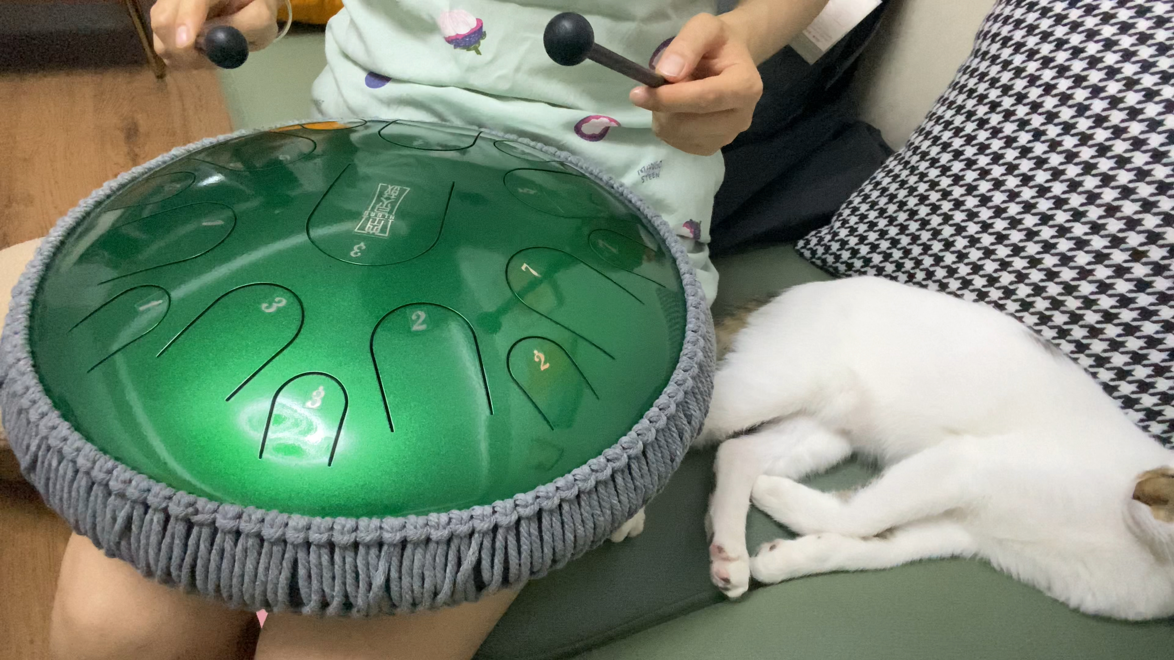 第一次敲空灵鼓,用三小时学会了这首《大鱼》