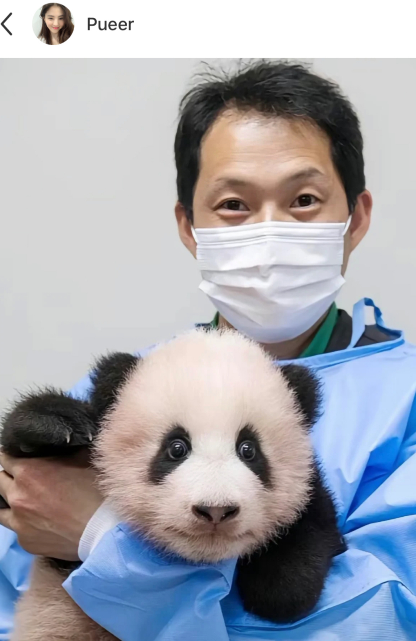 正在感叹福宝小时候过于可爱,结果看到下面网友的评论:福宝的眼睛大小