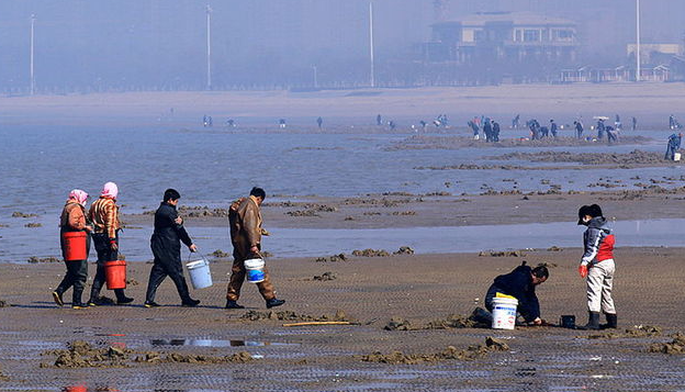 别再错过,东营港赶海最佳地点大公开,海鲜满载而归