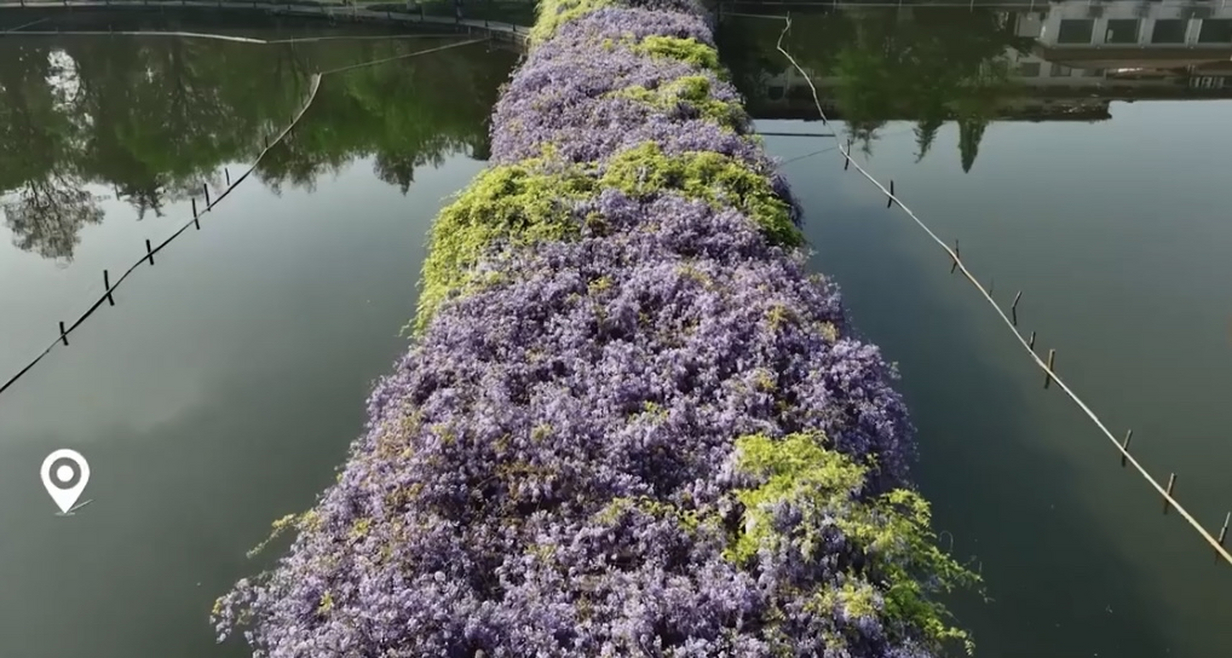 浙江花卉批发最大市场在哪里?