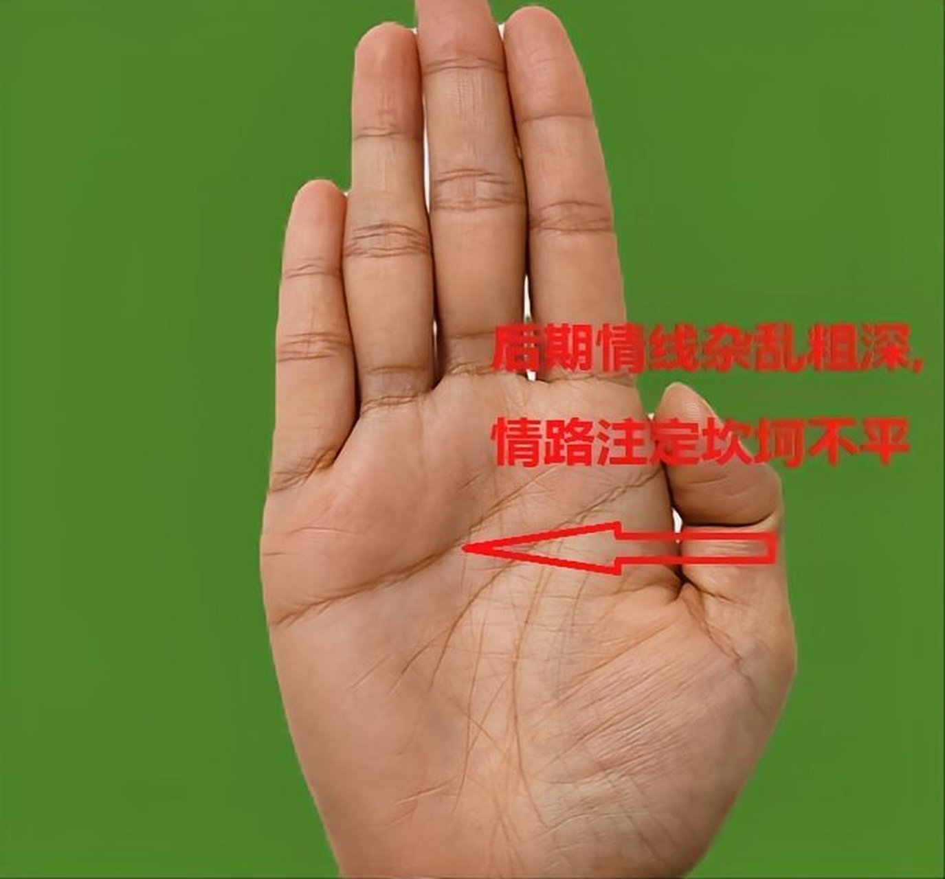 木型手,也是女人最常见的一款手型之一,多思多虑,脑线和生命线粘贴长