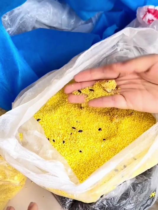 夏天到了,家里的大米小米粮食特别爱生虫子,粮仓净轻松解决!