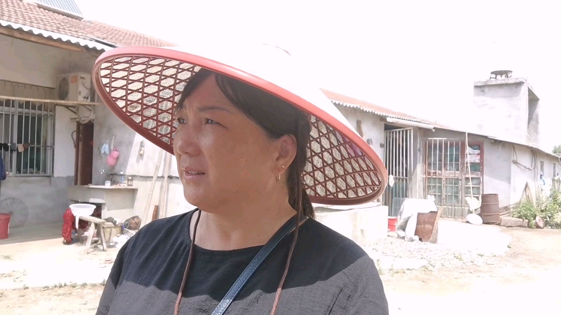 农村很少有人养珍珠鸡,丽丽和姐去繁殖场,各种鸡它的价格不一样