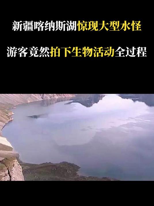 喀纳斯湖水怪纪录片图片