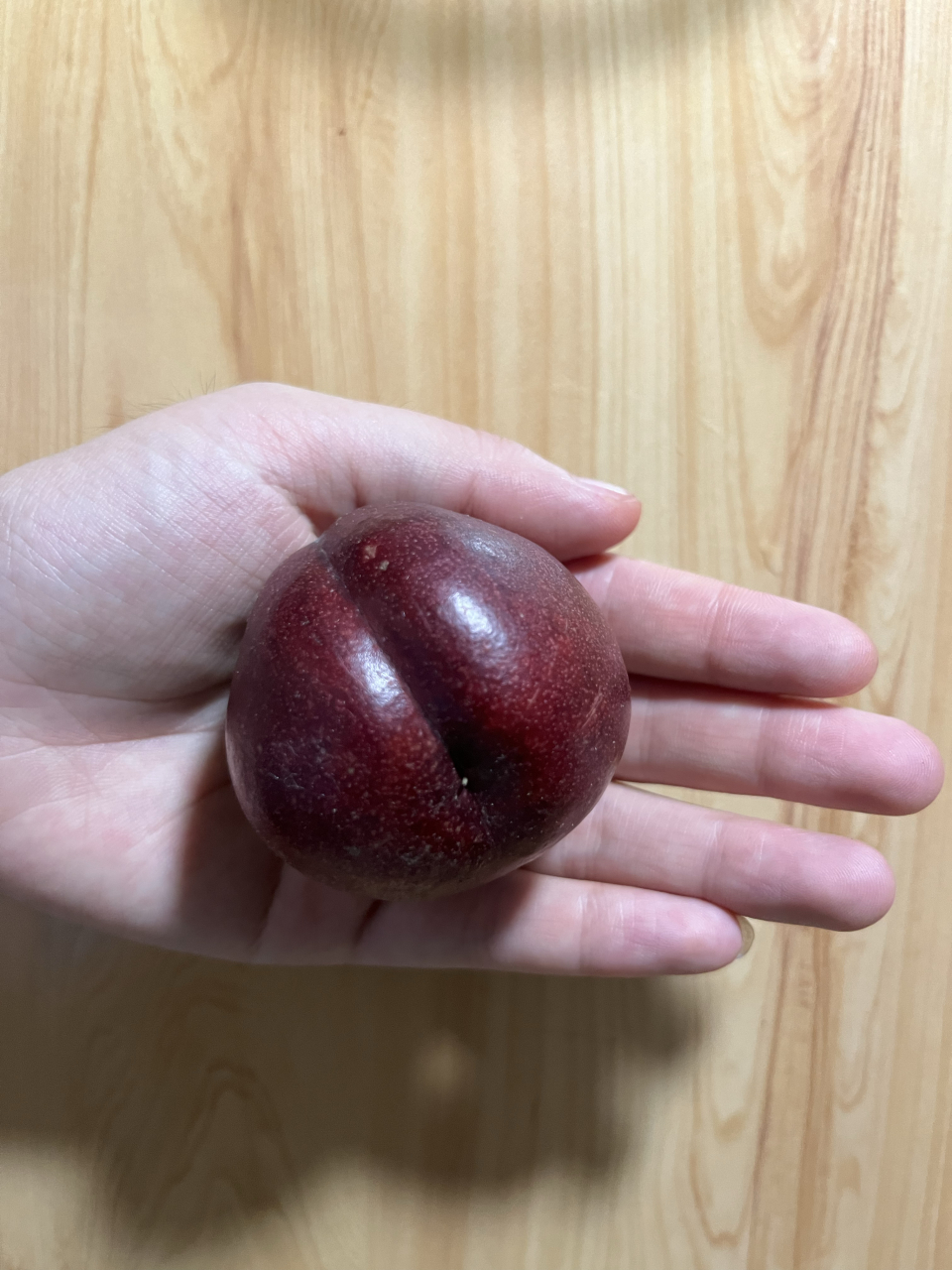 新官紫桃,老家特产～  富含花青素,果面光洁无毛