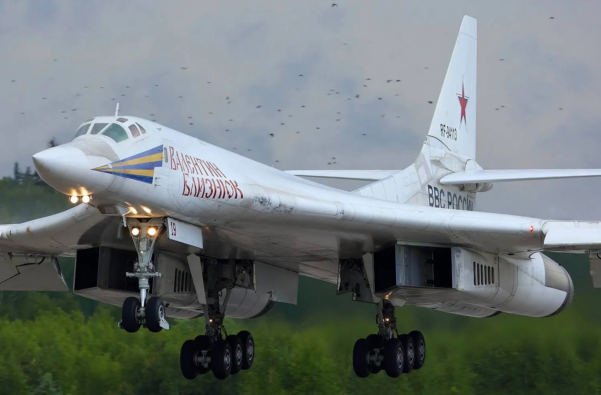 俄罗斯大白鹅战斗机图片