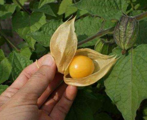 怀念的一种方式