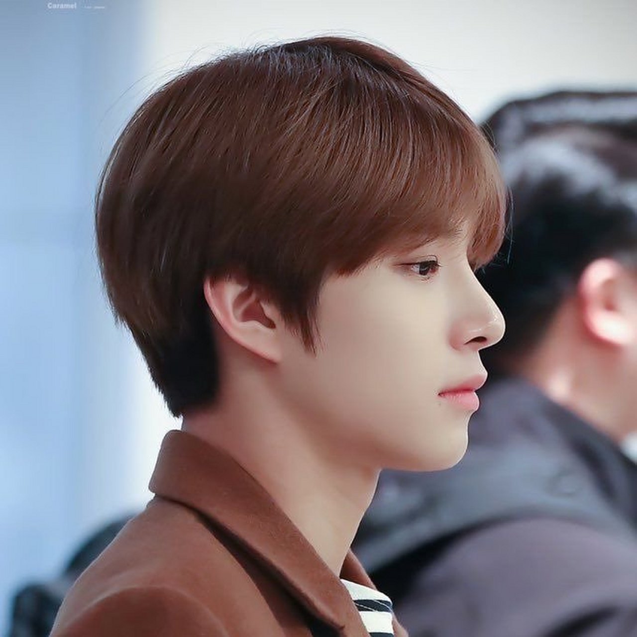 smtown三大鼻梁美男 exo世勋 nct廷祐 riize anton 676767