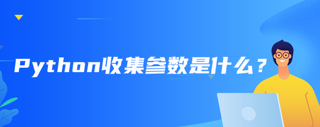 什么是 Python 集合参数？