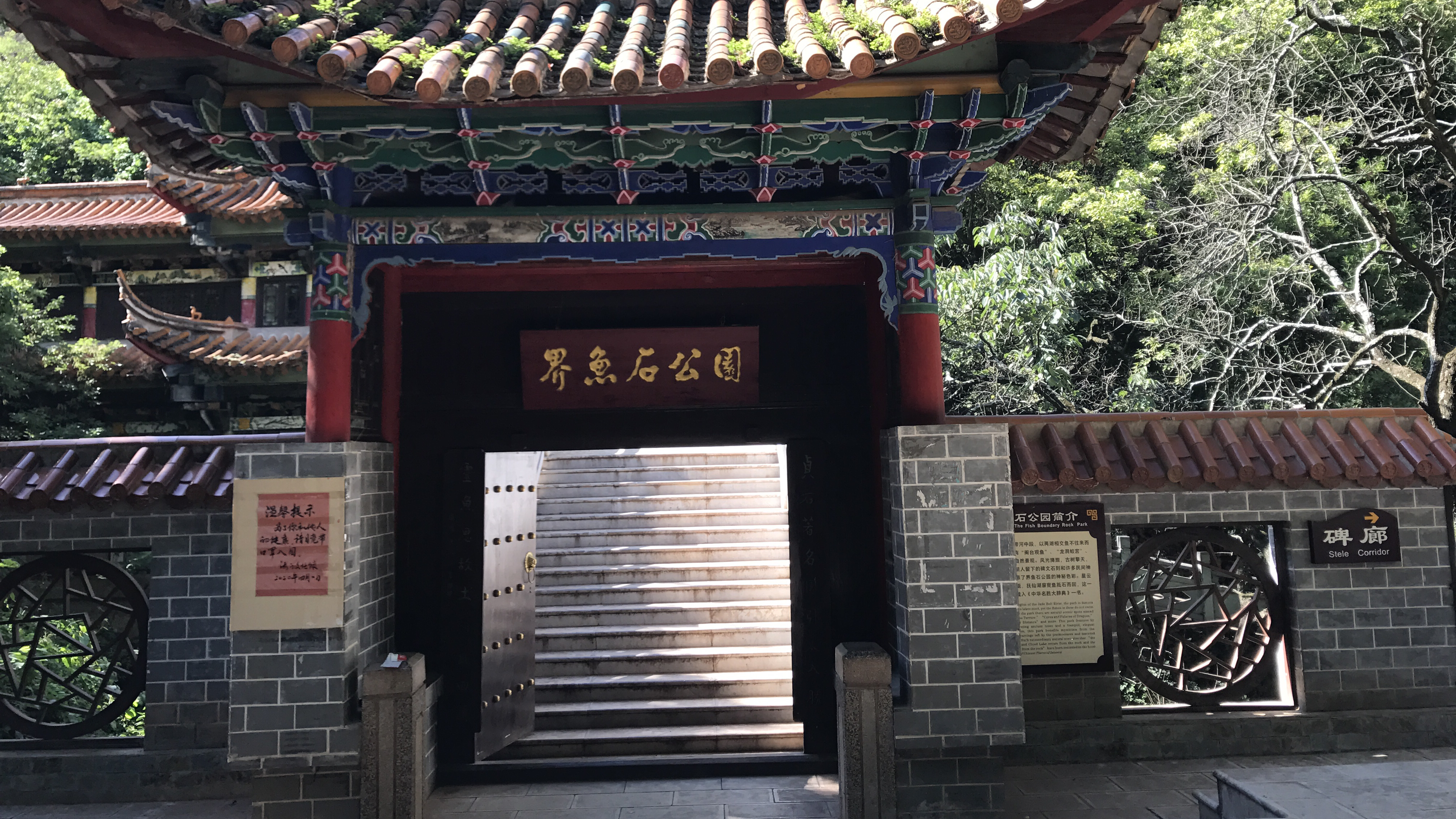 抚仙湖与星云湖分界界鱼石,太神奇了,两边的水系环境差异很大!