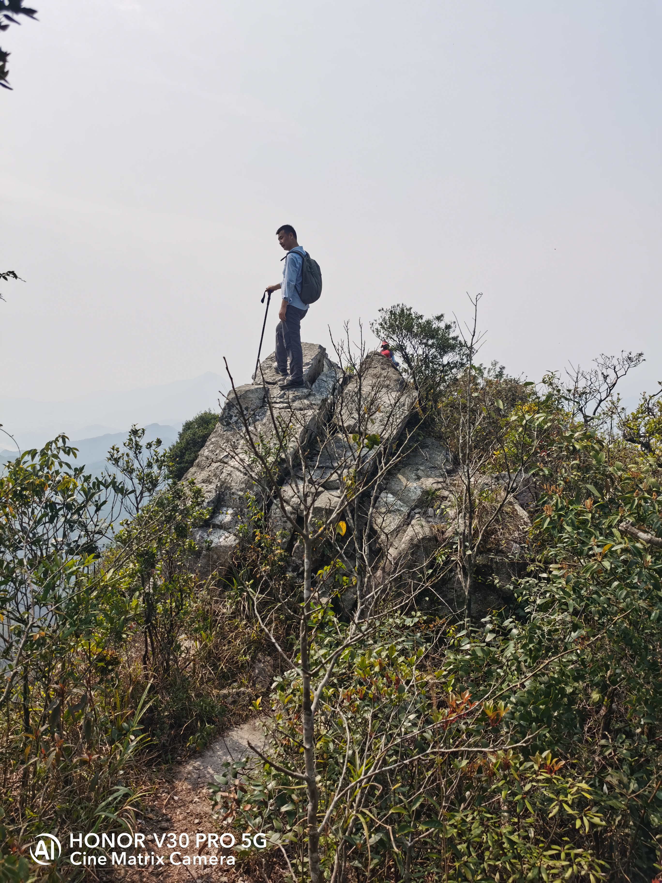 深圳排牙山森林公园图片