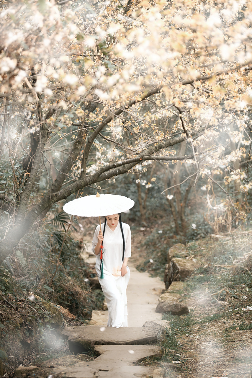 "更被春风送惆怅,落花飞絮雨翩翩.