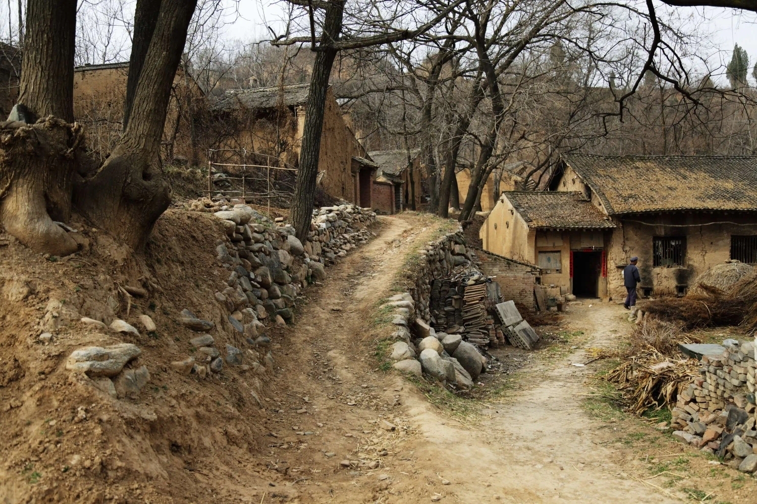 夜幕在小镇上降临,月光洒在破旧的街巷上,投下淡淡的光影