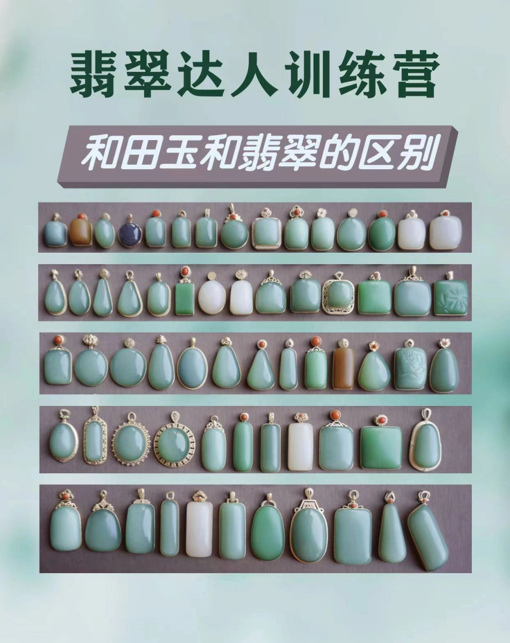 翡翠和玉哪个贵(翡翠和玉哪个贵翡翠值钱吗) 第1张