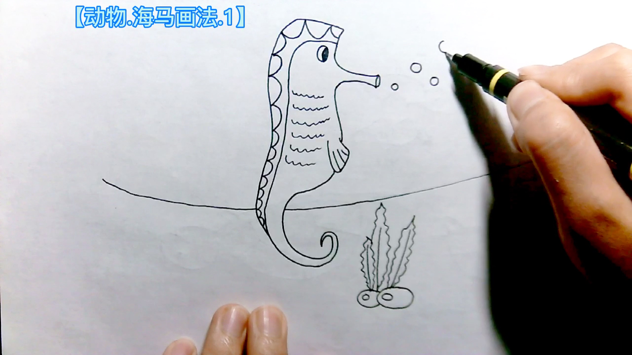 简笔画儿童画大全41.手绘动物海马画法1,在家学习画画