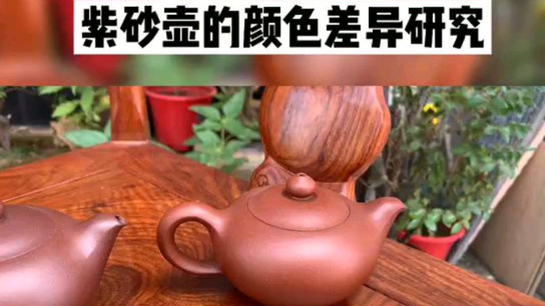 三顾堂堂主谈紫砂:紫砂壶的颜色差异研究