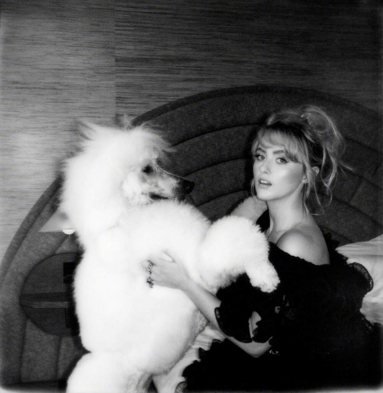 凯瑟琳·纽顿,《flaunt》杂志12月刊写真