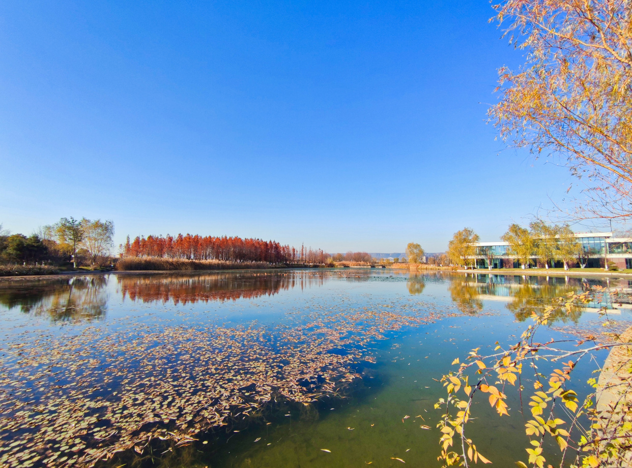 宝鸡太公湖图片