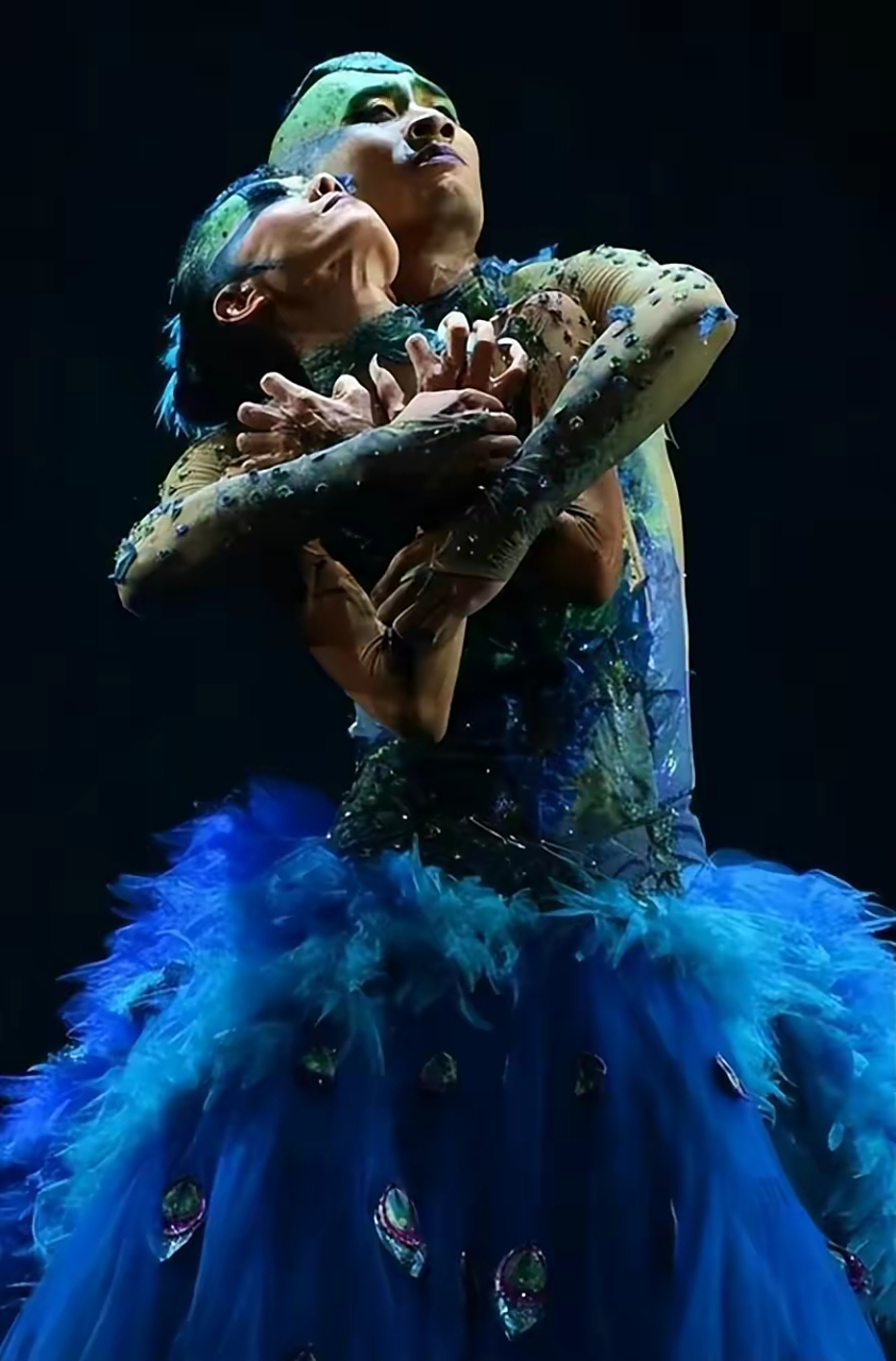 杨丽萍舞伴王迪从39楼跳下,年仅44岁!