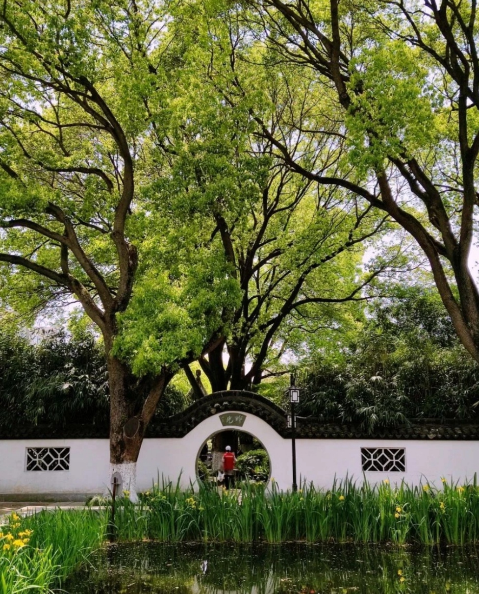 上海莘庄公园大自然奇观