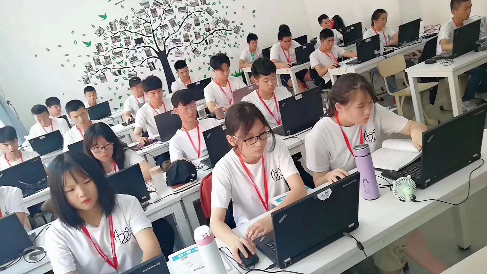 大四学生即将面临就业问题