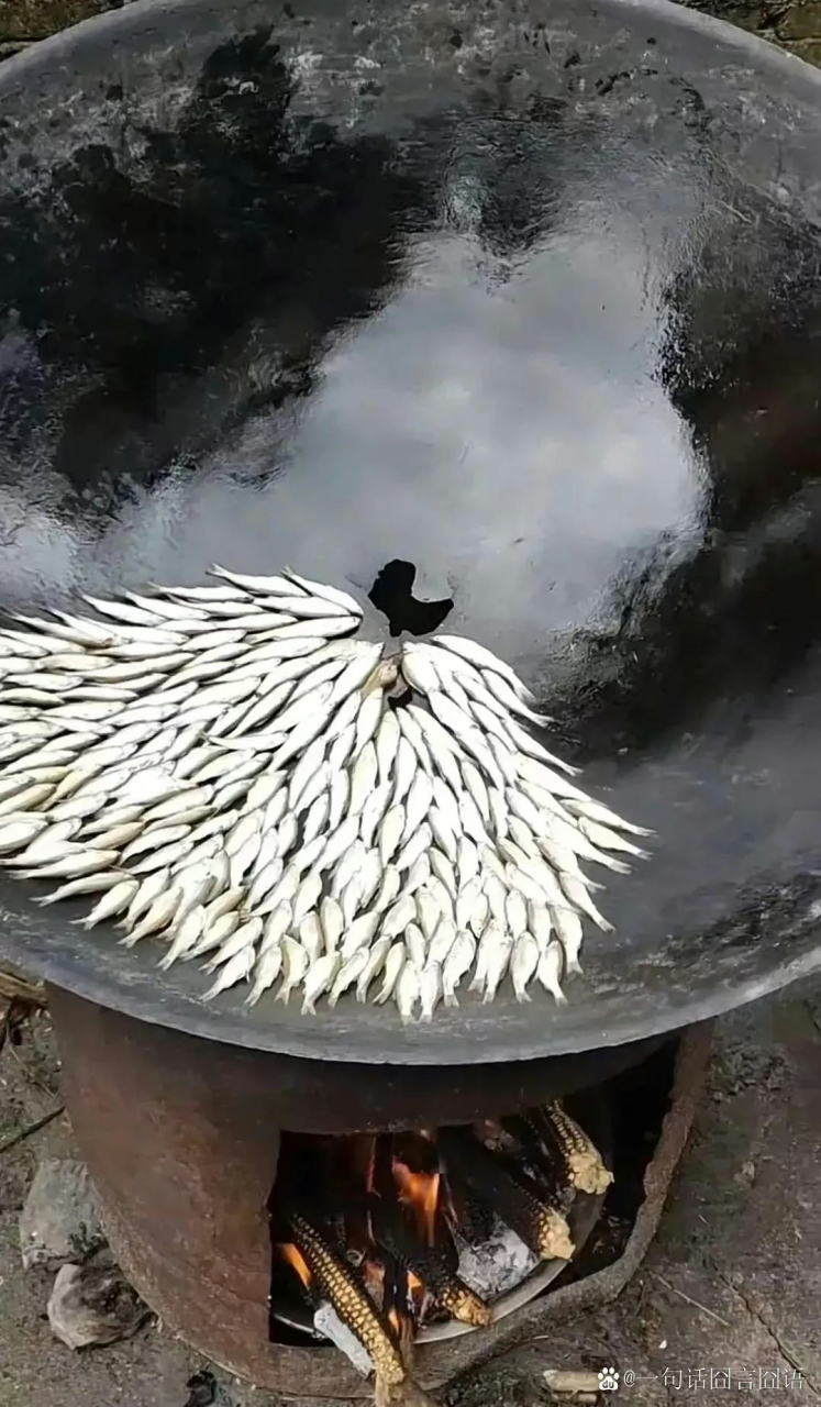 大娘每天睁眼就开始煎鱼,一个月煎漏一口锅,摆鱼翻面,看的我头晕目眩