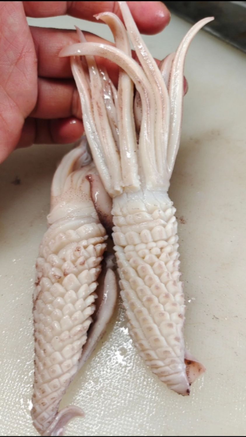 五星级的刀法切的鱿鱼