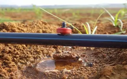 以色列滴灌技术发展史