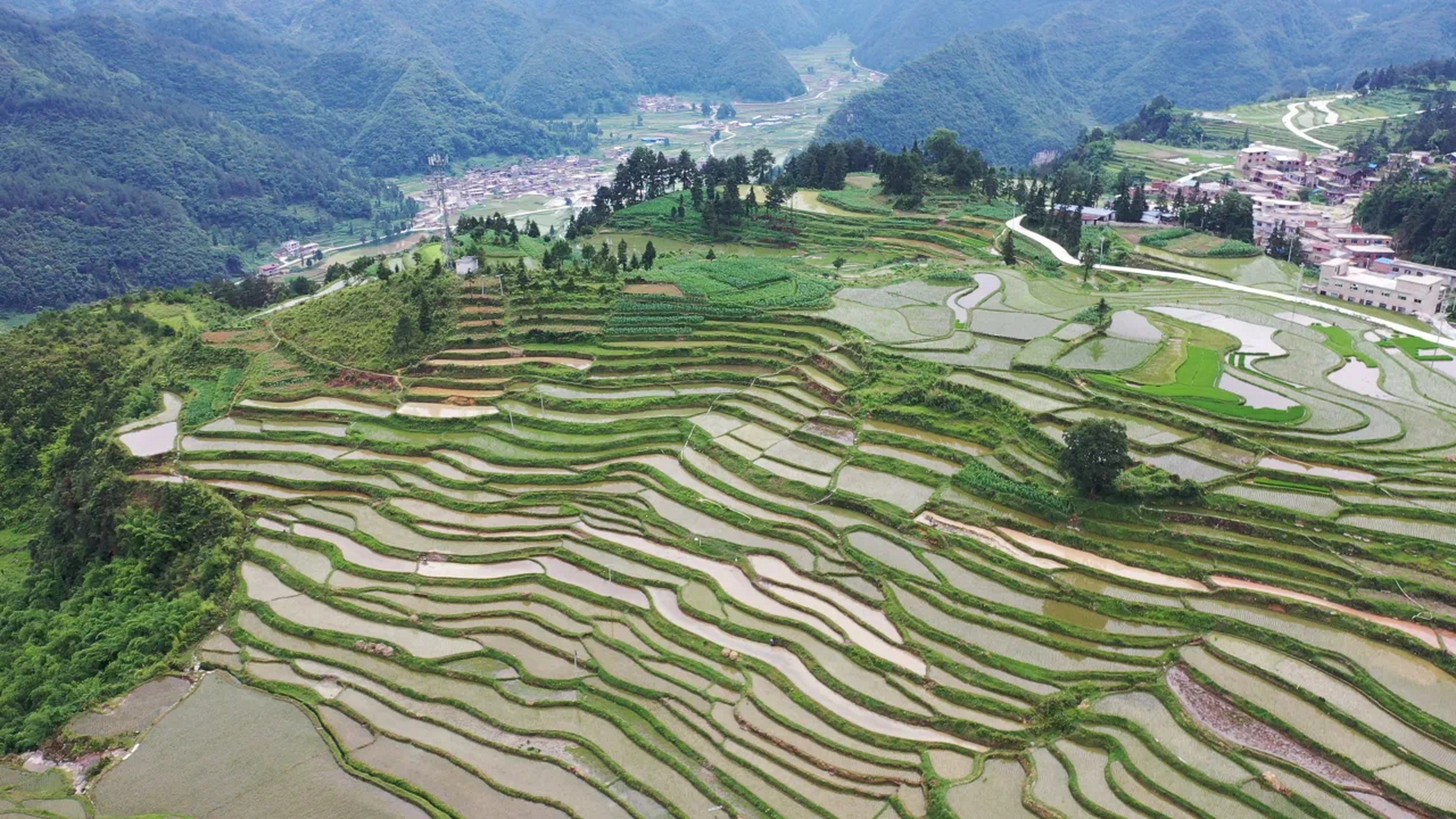 春天田野里的景象图片图片