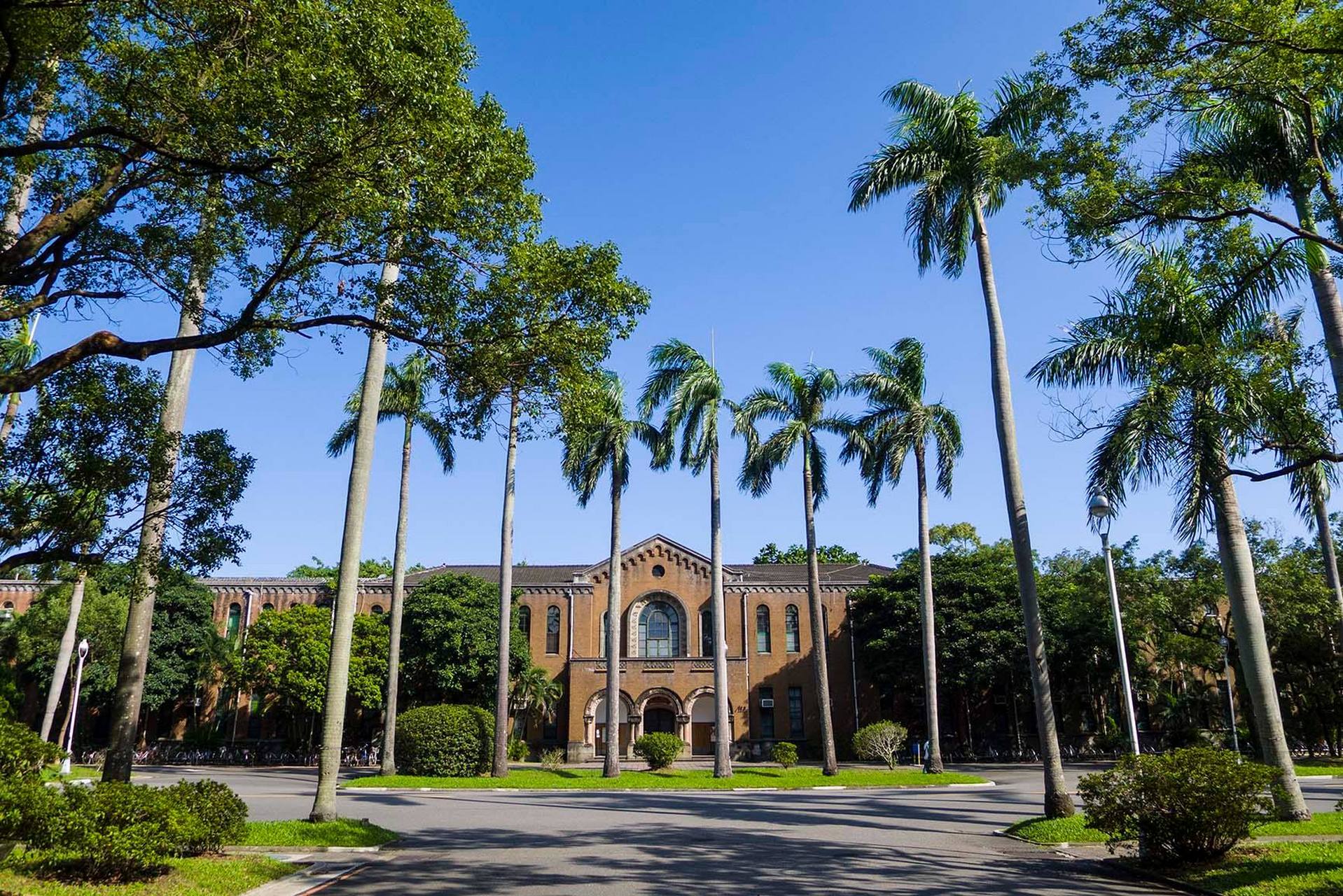 台湾大学占地面积约 3