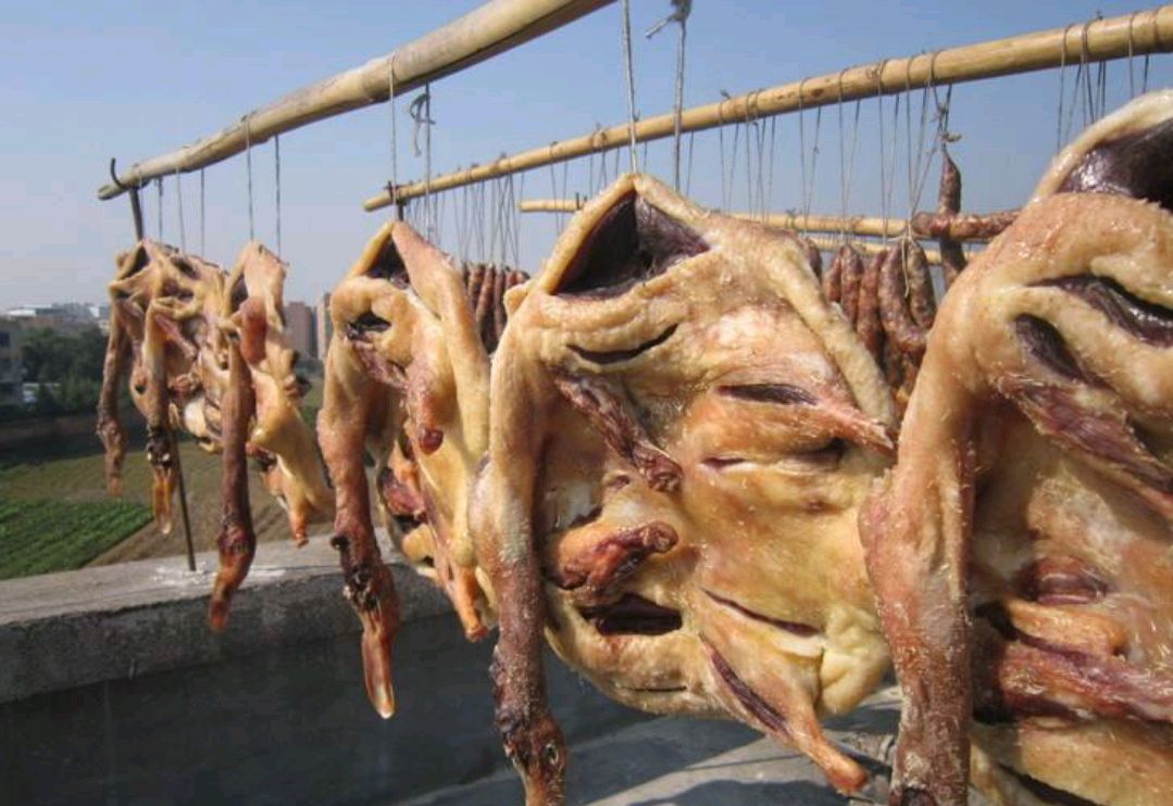 韶关:一只南雄板鸭的一生