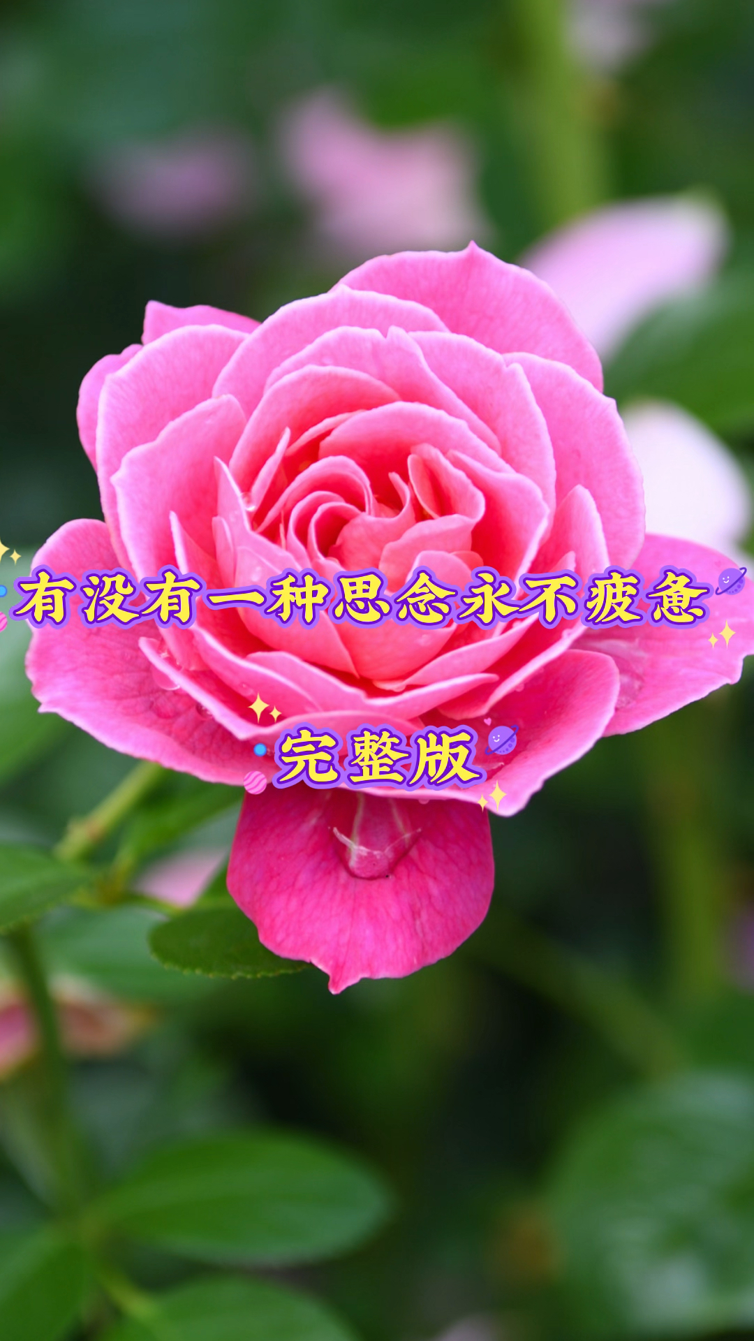 一首《有没有一种思念永不疲惫》伤感情歌,旋律优美动听,海誓山盟到