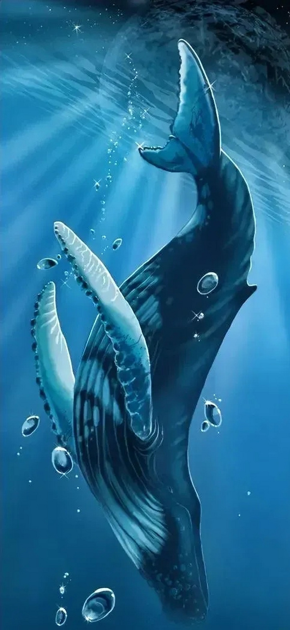 大多数人都不知道的令人震惊的事实  1,蓝鲸体内的一些血管实际上大到