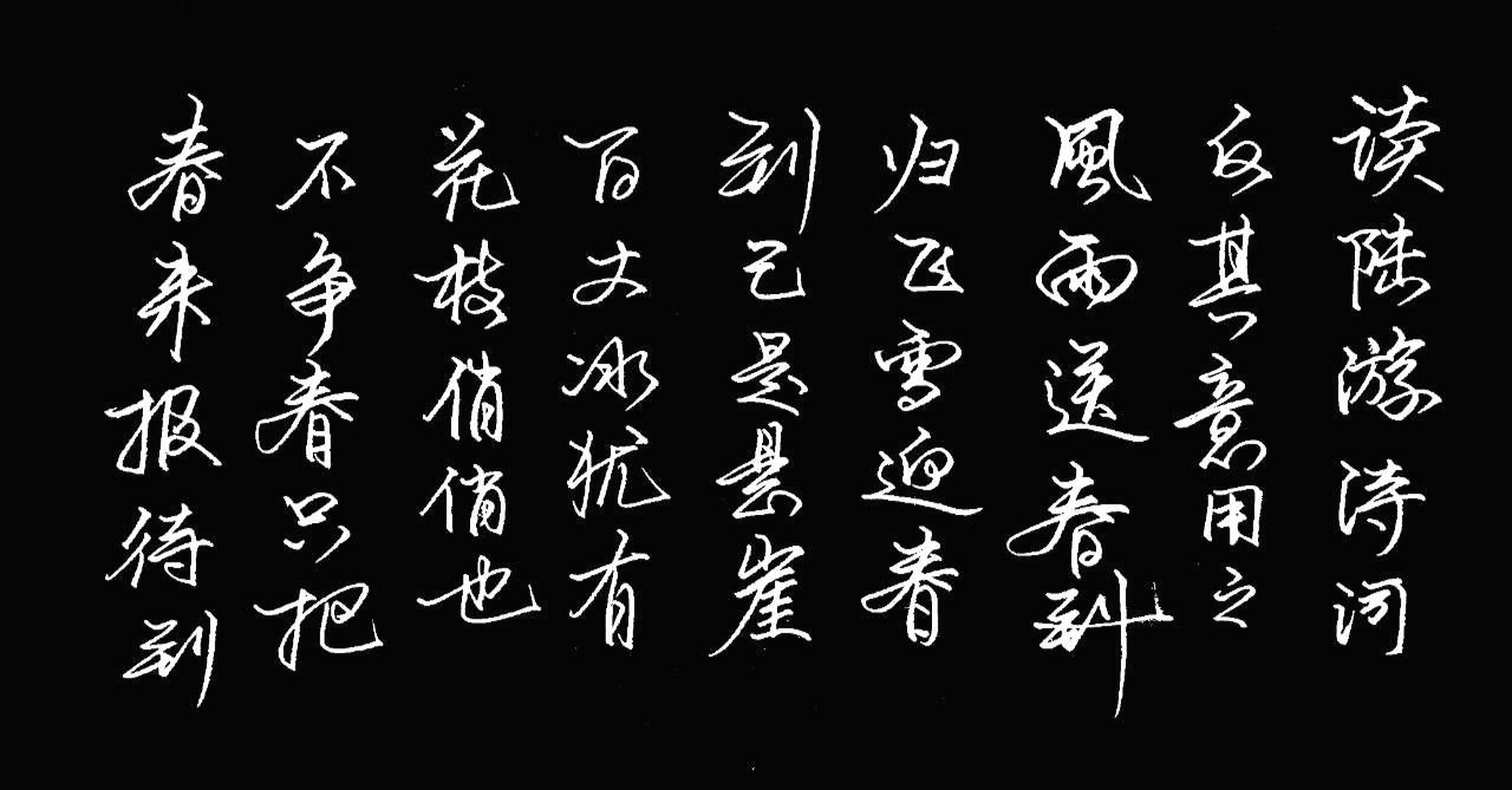 待到山花烂漫时,她在丛中笑!人要坚韧不拔!