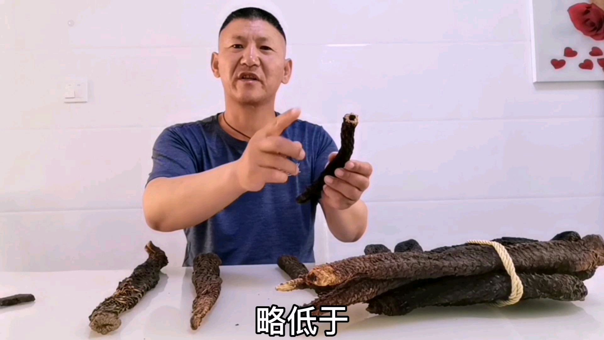 肉苁蓉和油苁蓉的区别