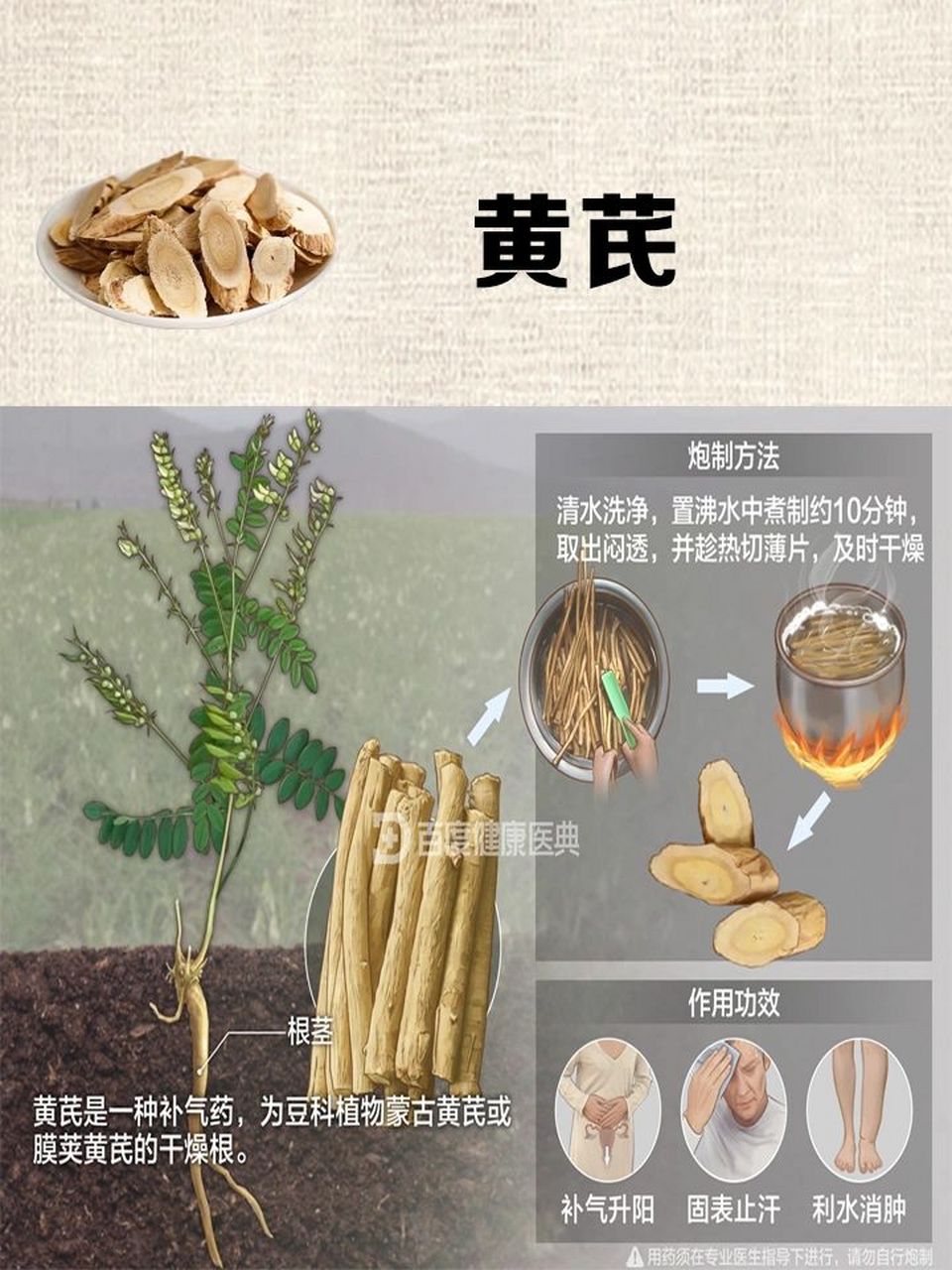每天认识一味中草药-黄芪 【中药名】黄芪 【别名】黄耆,木耆,绵黄芪