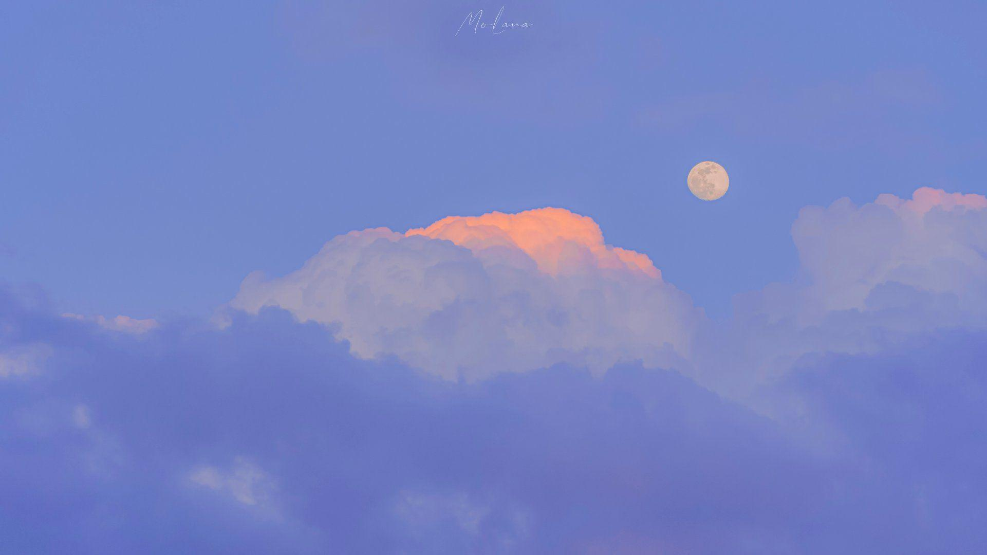 温柔且治愈的文案